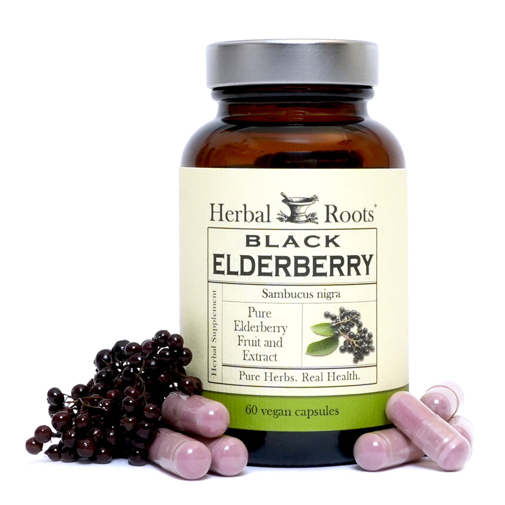 Black Elderberry