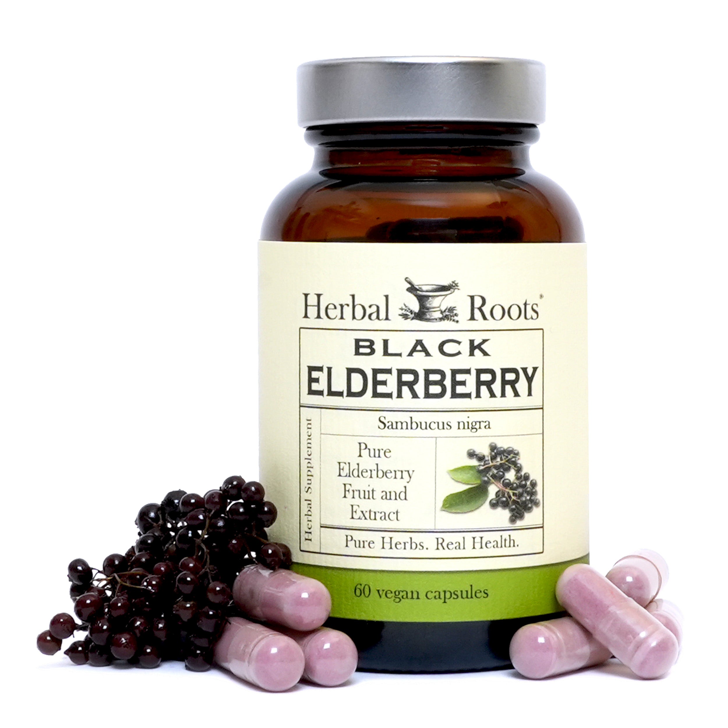 Black Elderberry