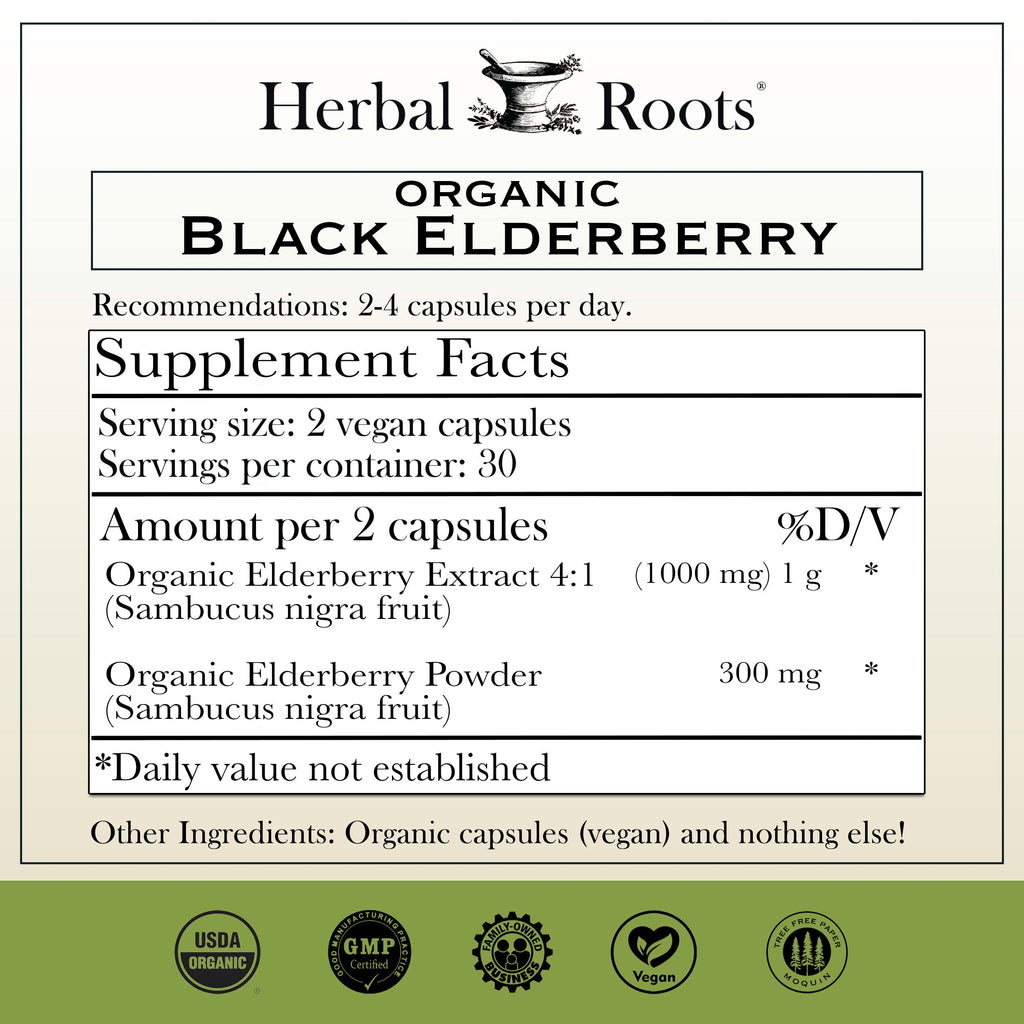 Black Elderberry