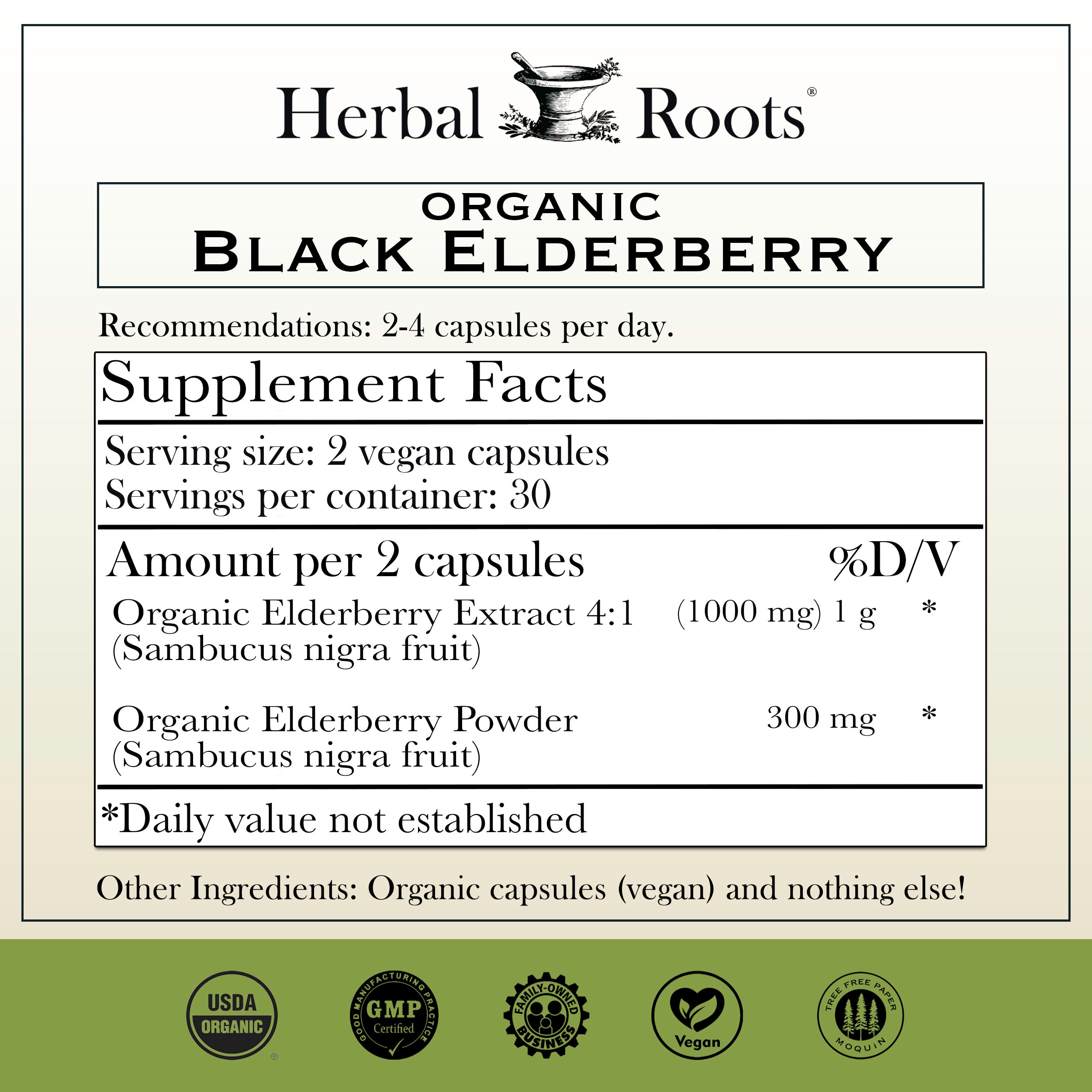 Black Elderberry