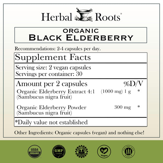 Black Elderberry