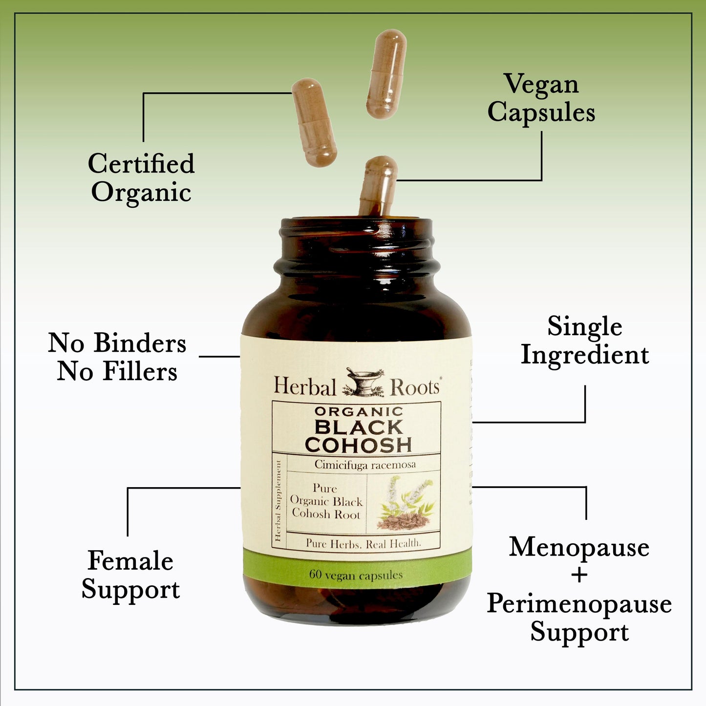Organic Black Cohosh