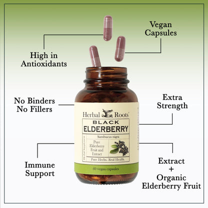 Black Elderberry