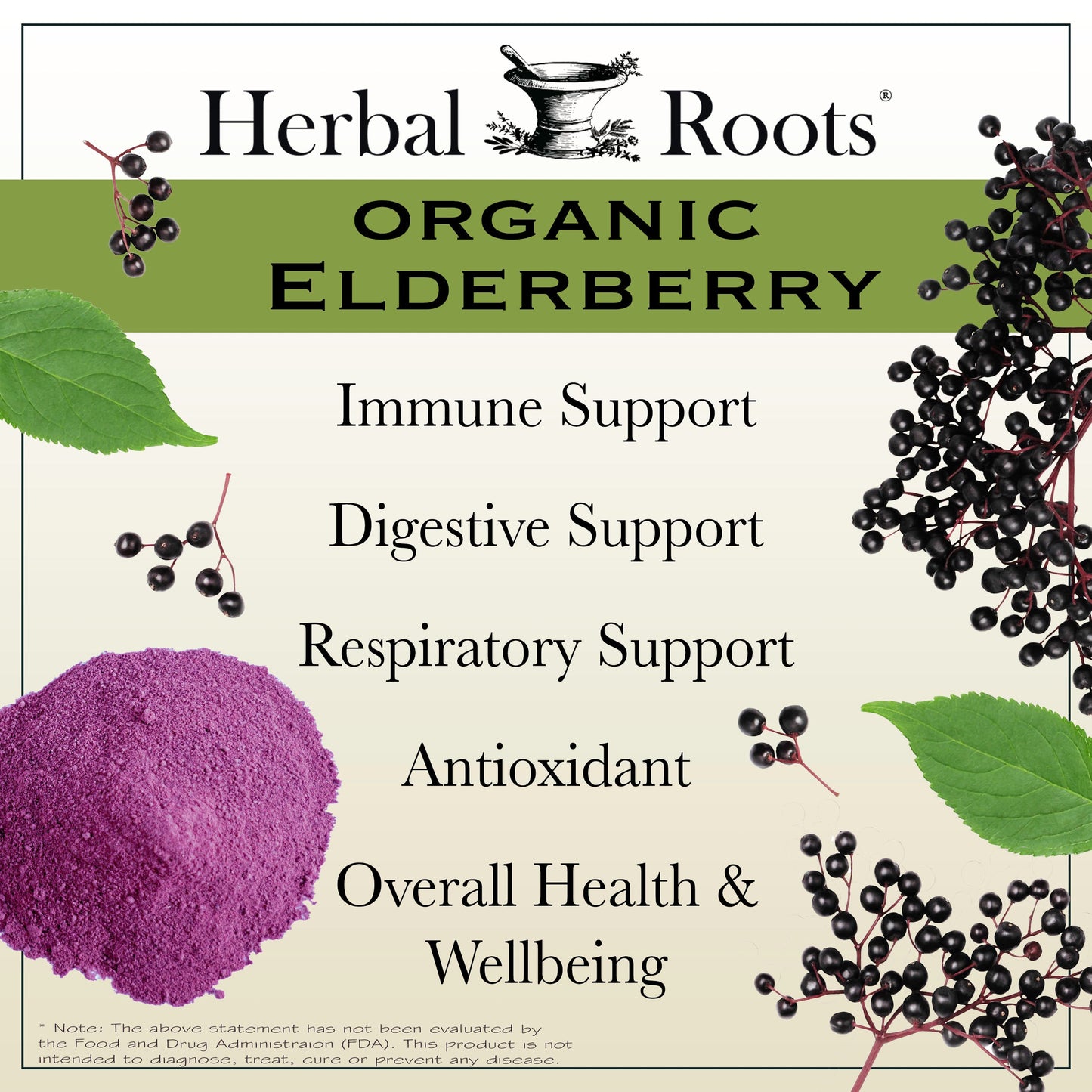 Black Elderberry