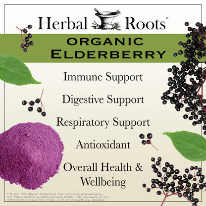 Black Elderberry