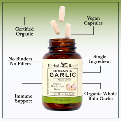 Organic Whole Bulb Garlic
