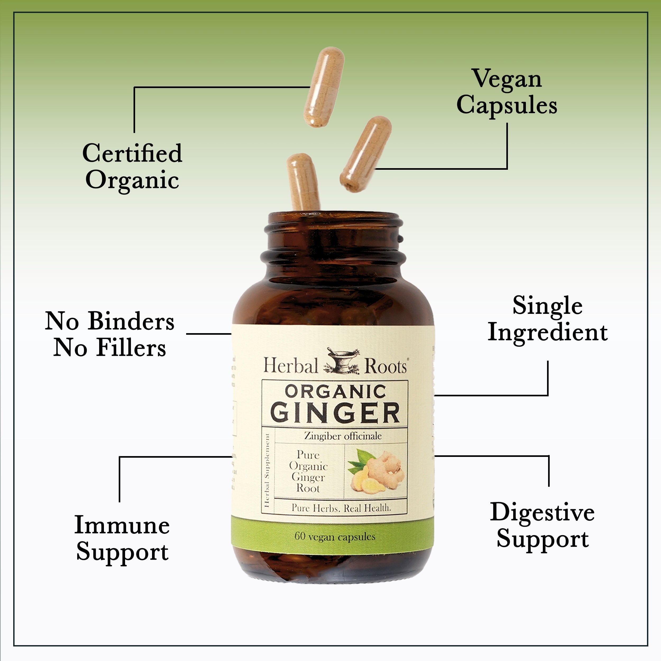 Organic Ginger