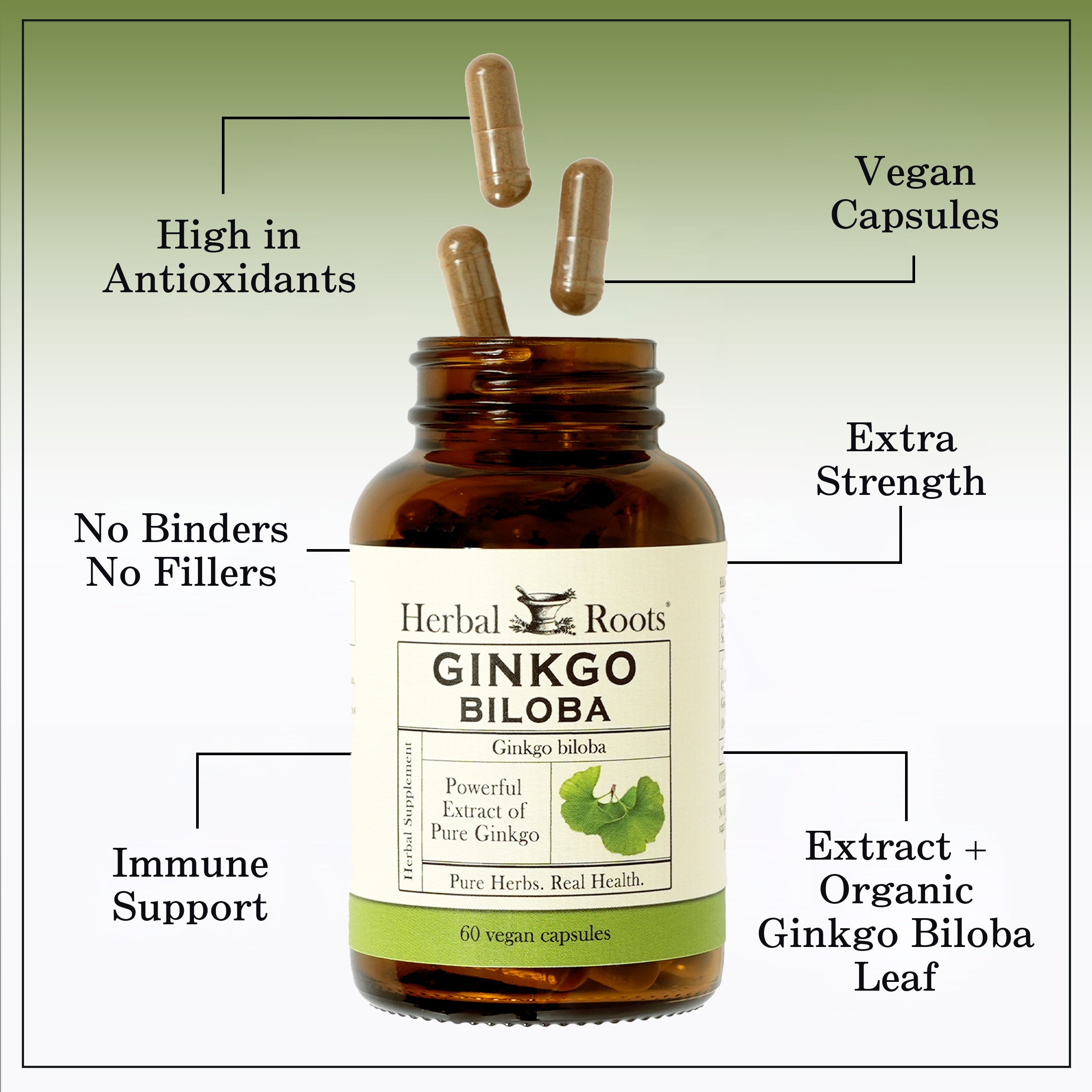 Organic Ginkgo Biloba