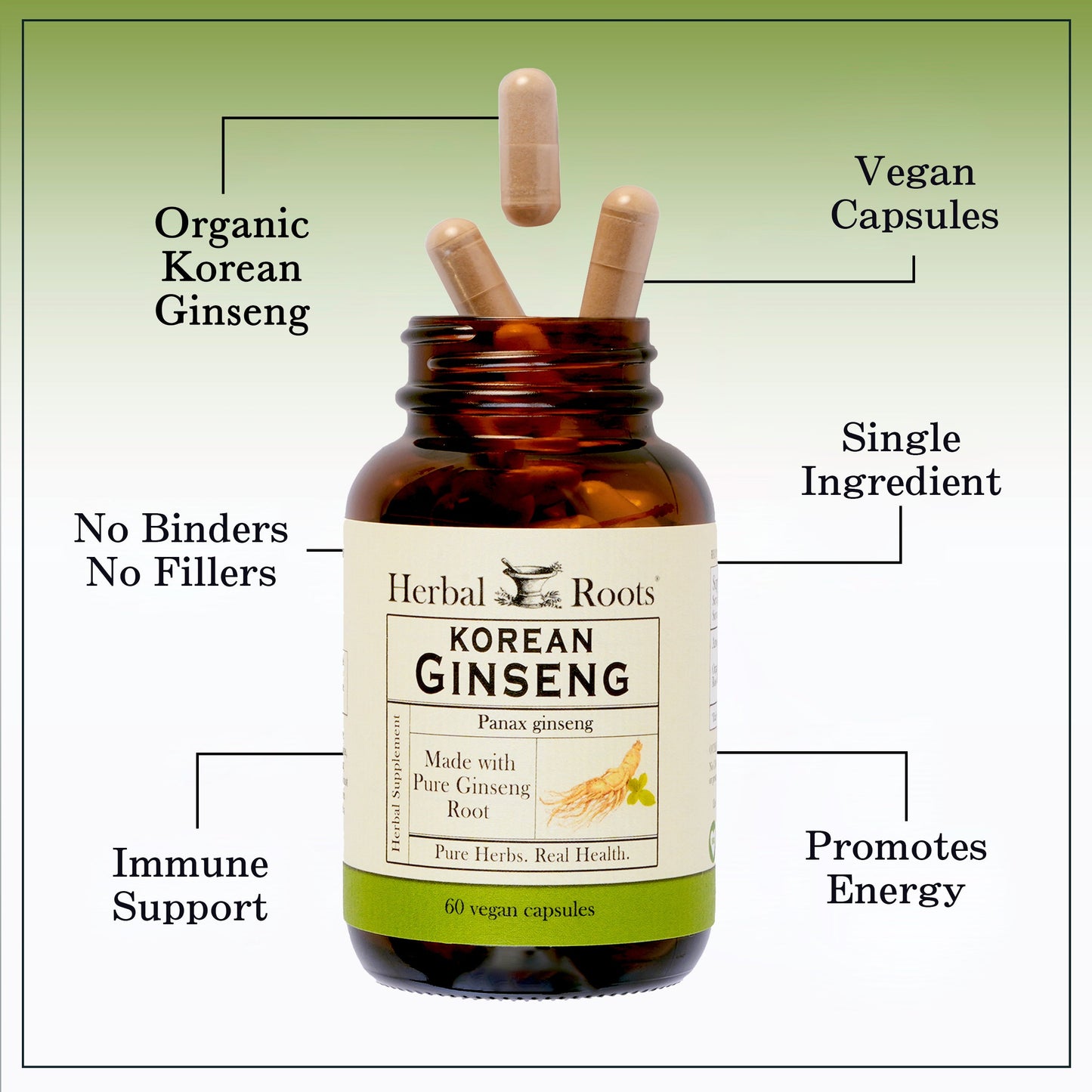 Korean Ginseng