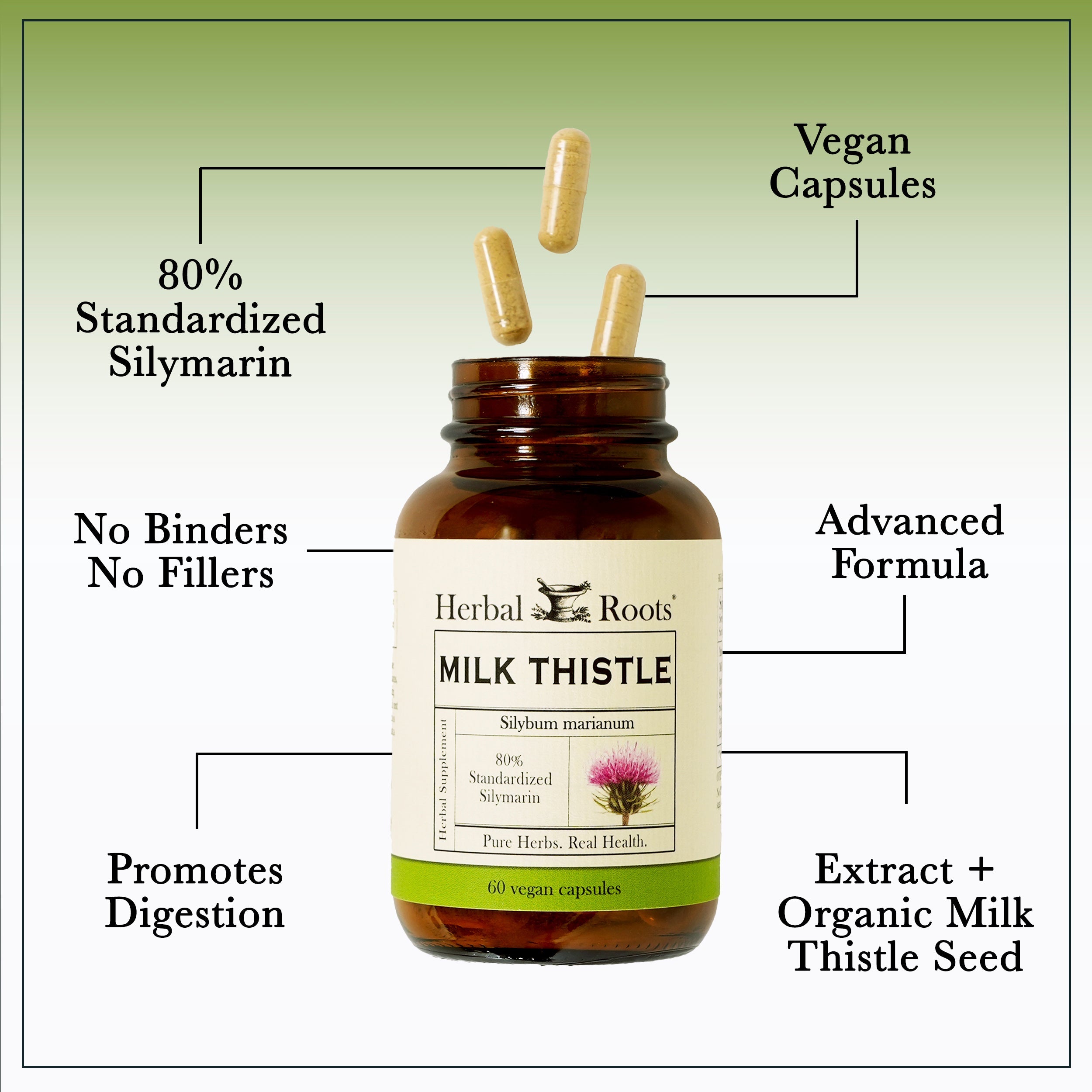 Milk Thistle