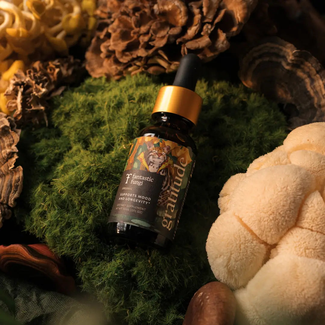 Gratitude Elixir