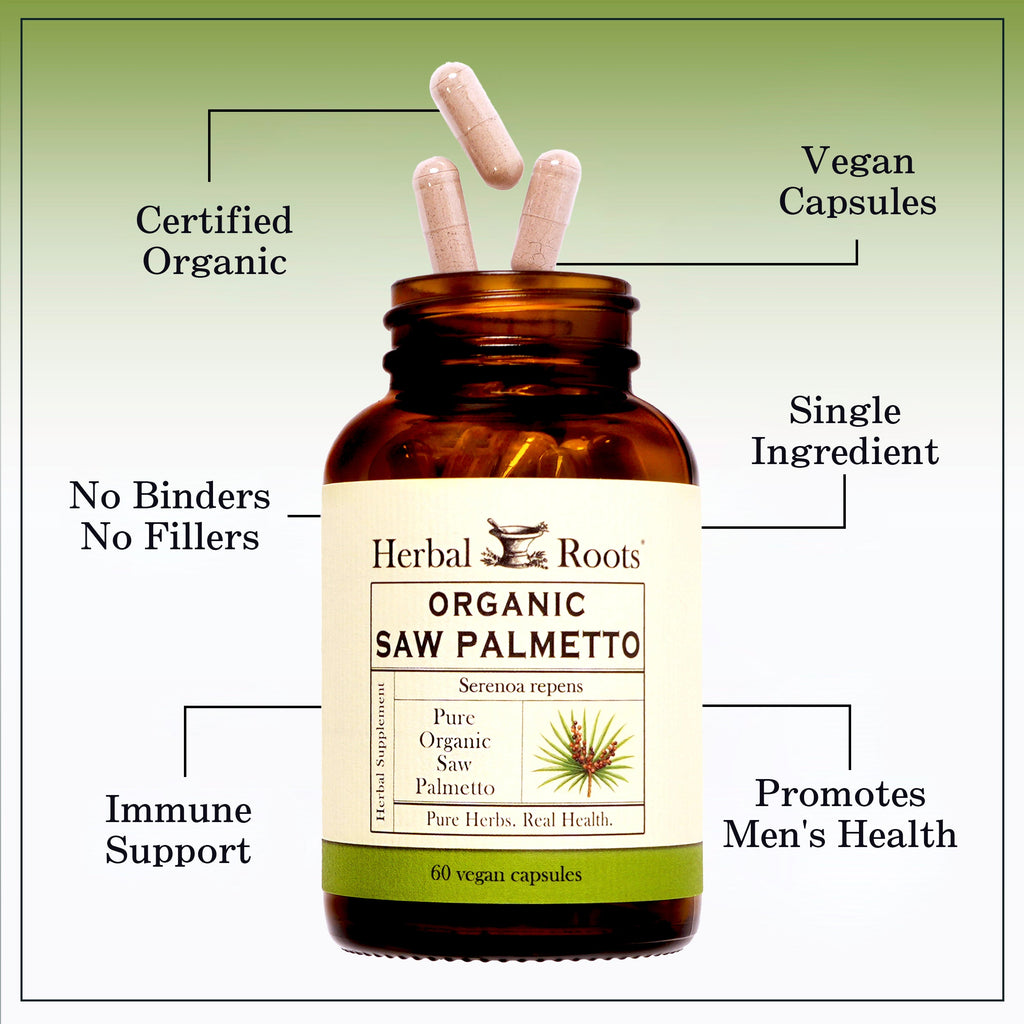 Organic Saw Palmetto