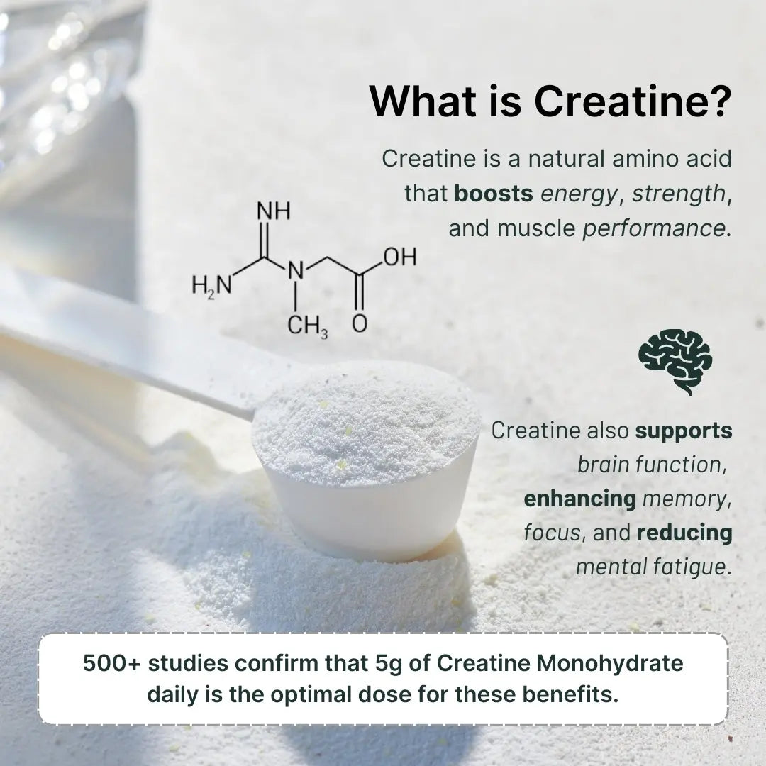 Vegan Protein Powder with Creatine | Single-Serve Packets