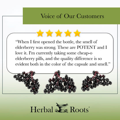 Black Elderberry