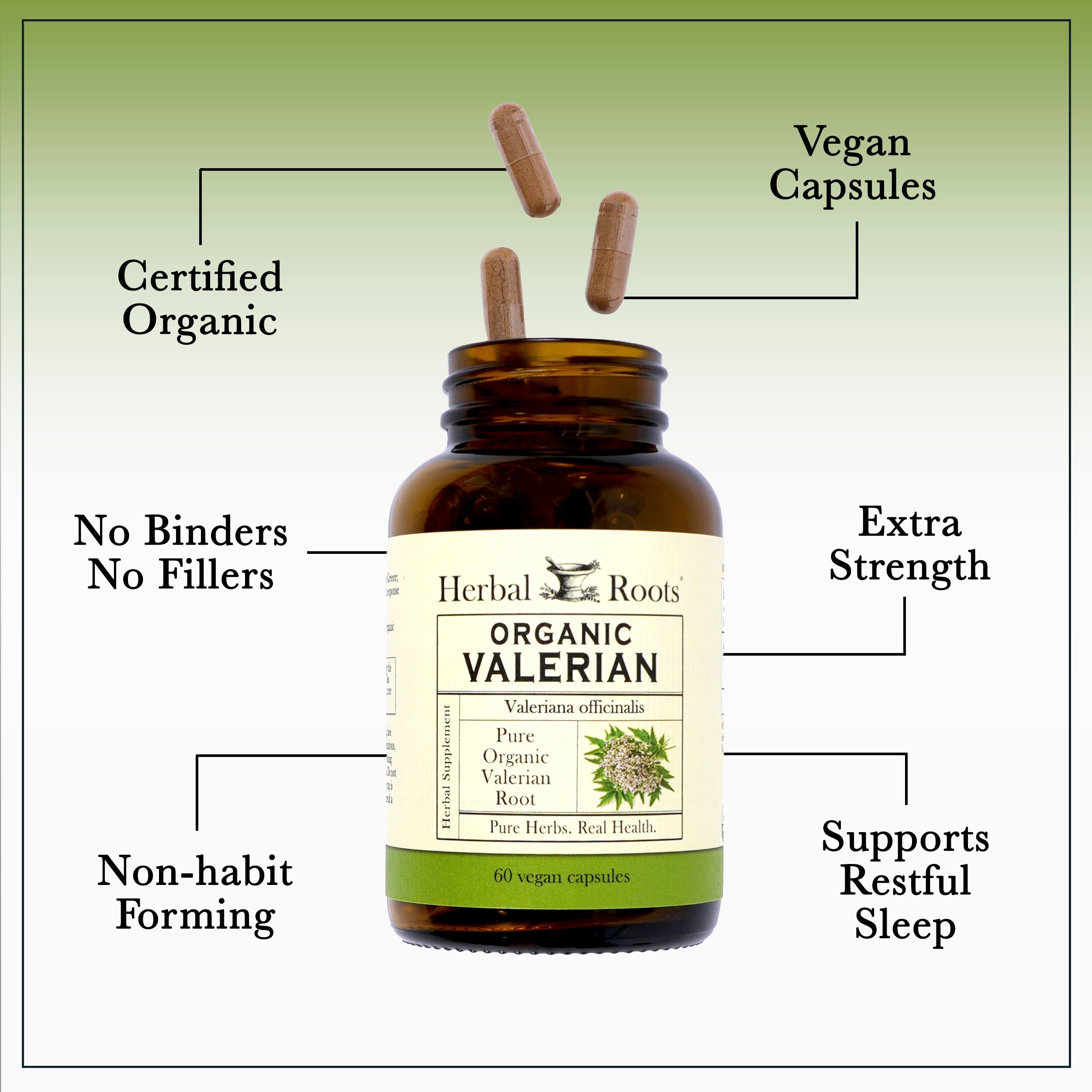 Organic Valerian Root