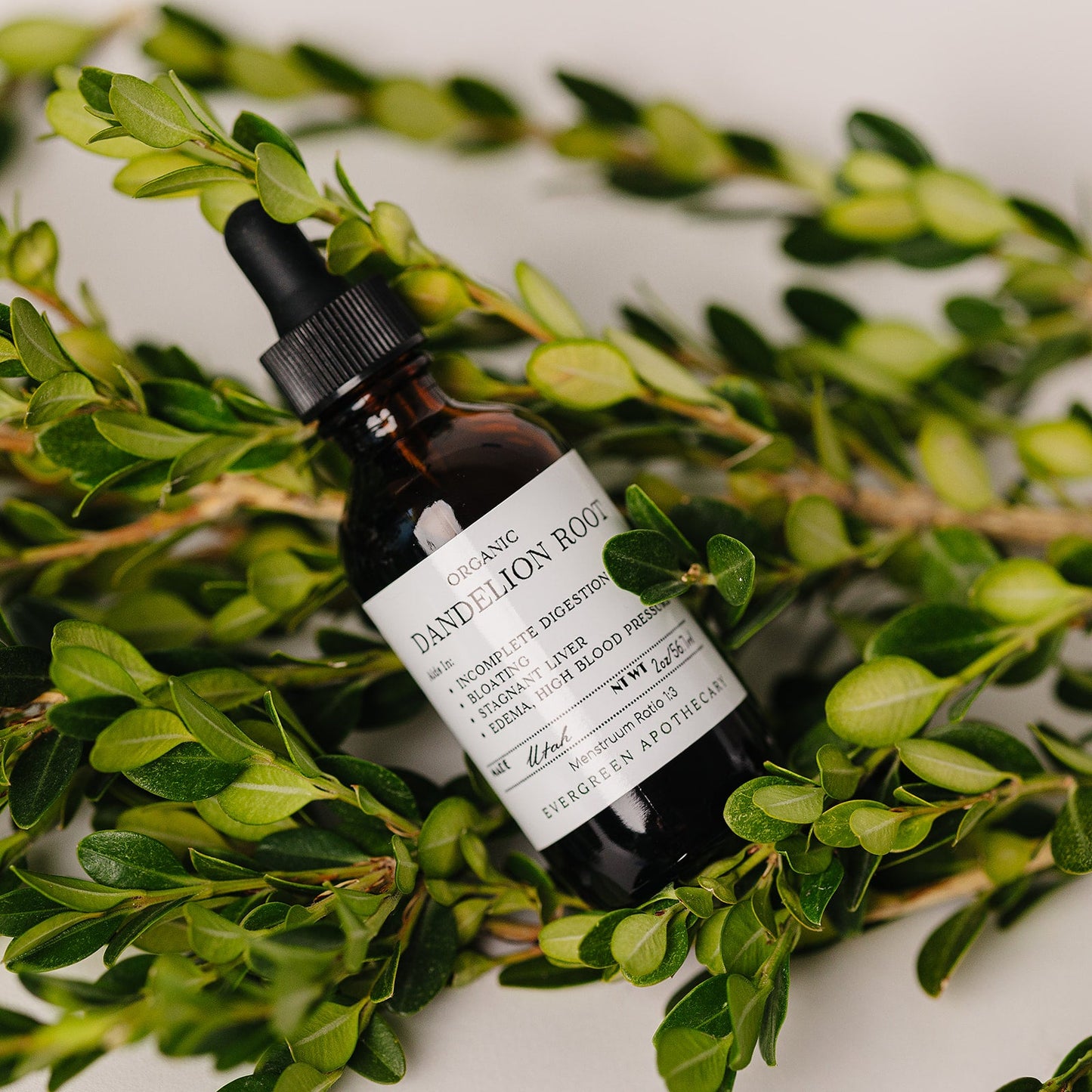 Dandelion Root Tincture