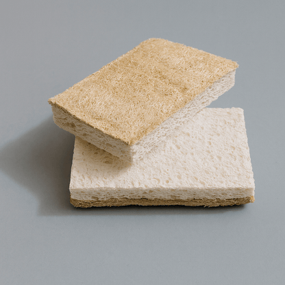 Dual-Sided Eco-Sponge