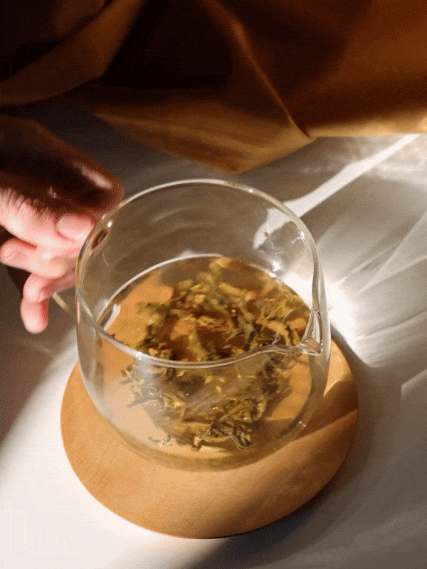Focus Tea