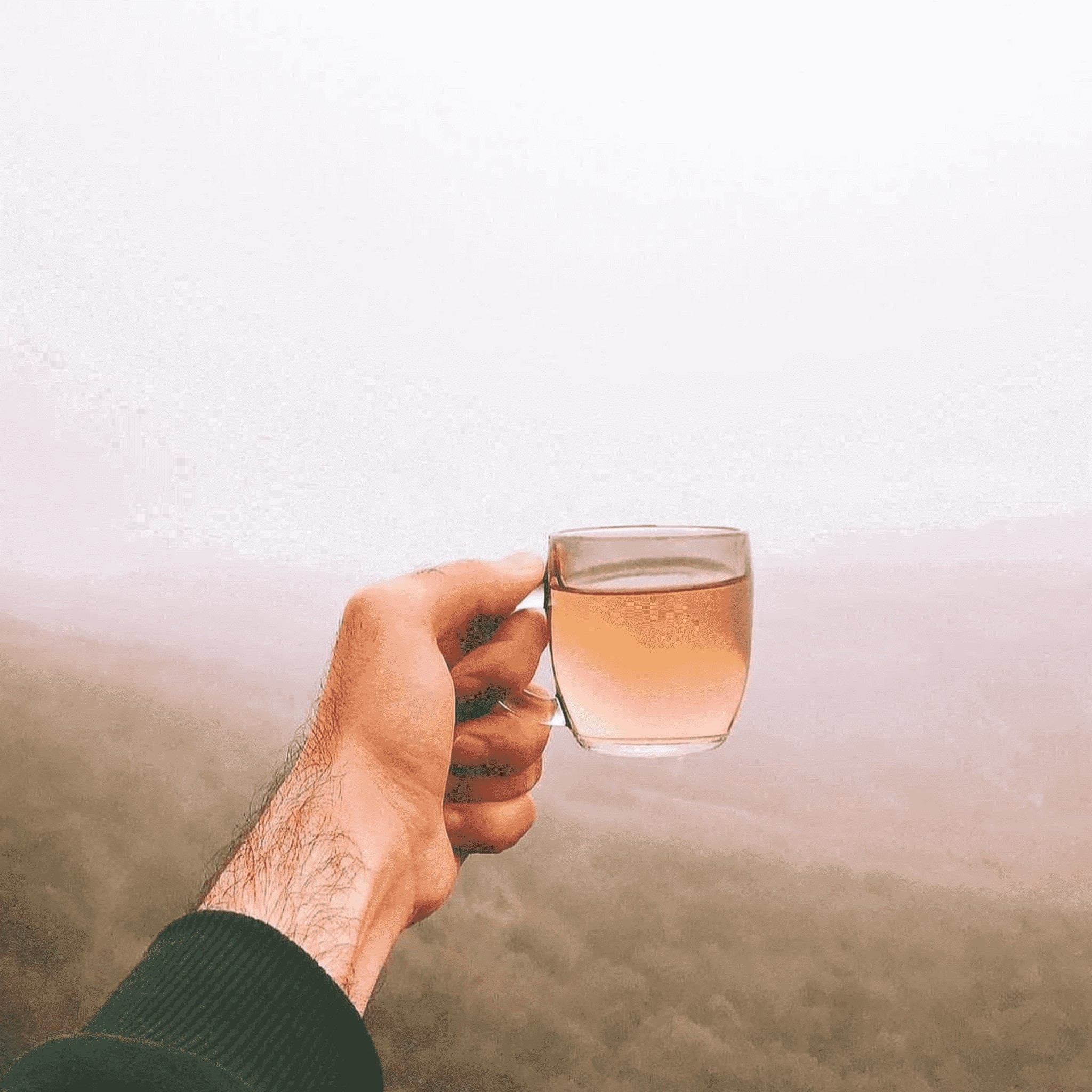 Focus Tea
