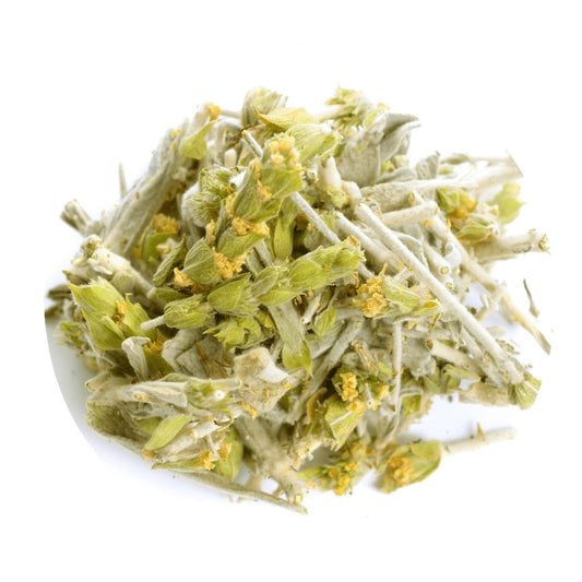 Greek Mountain Tea (Mount Olympus)
