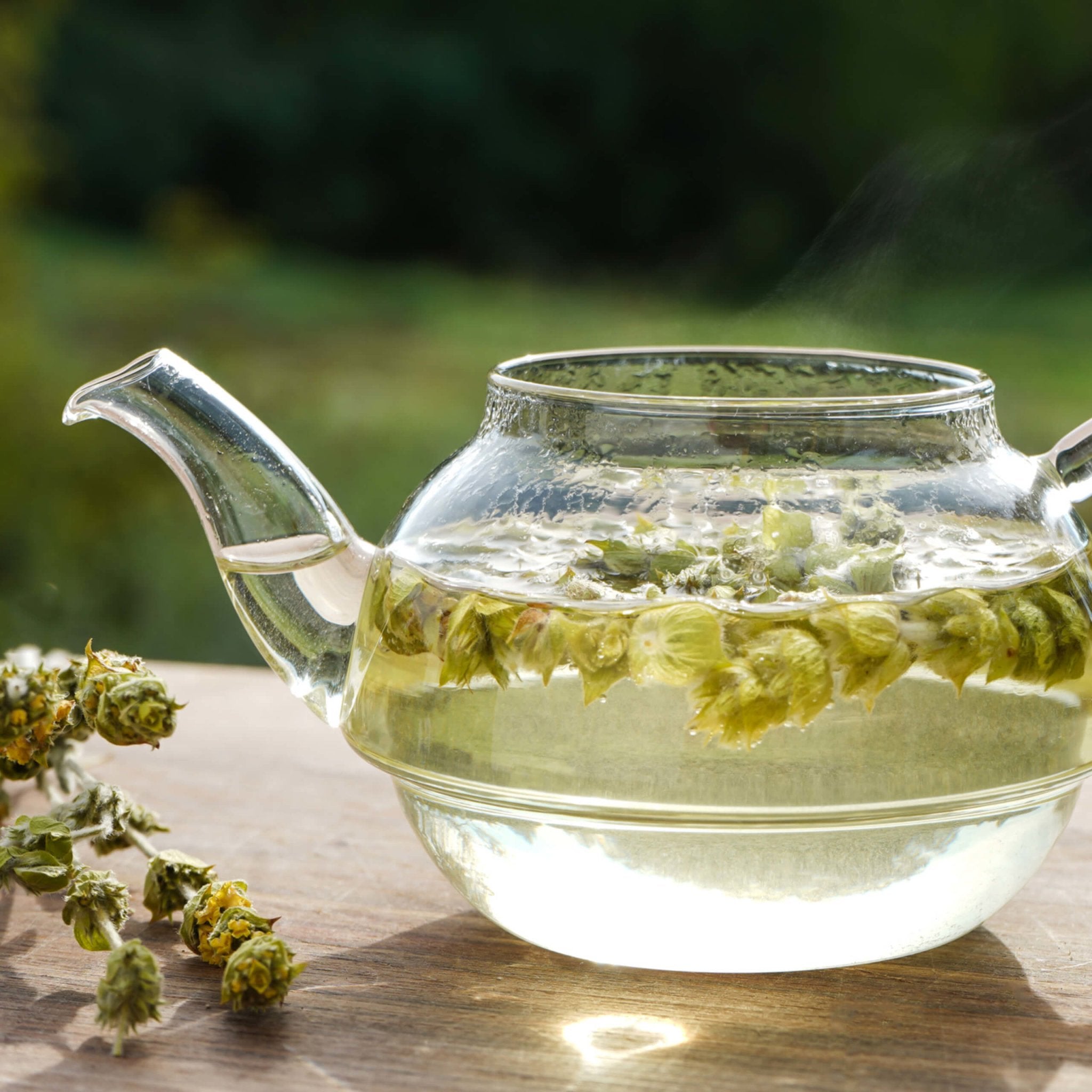 Immune Tea