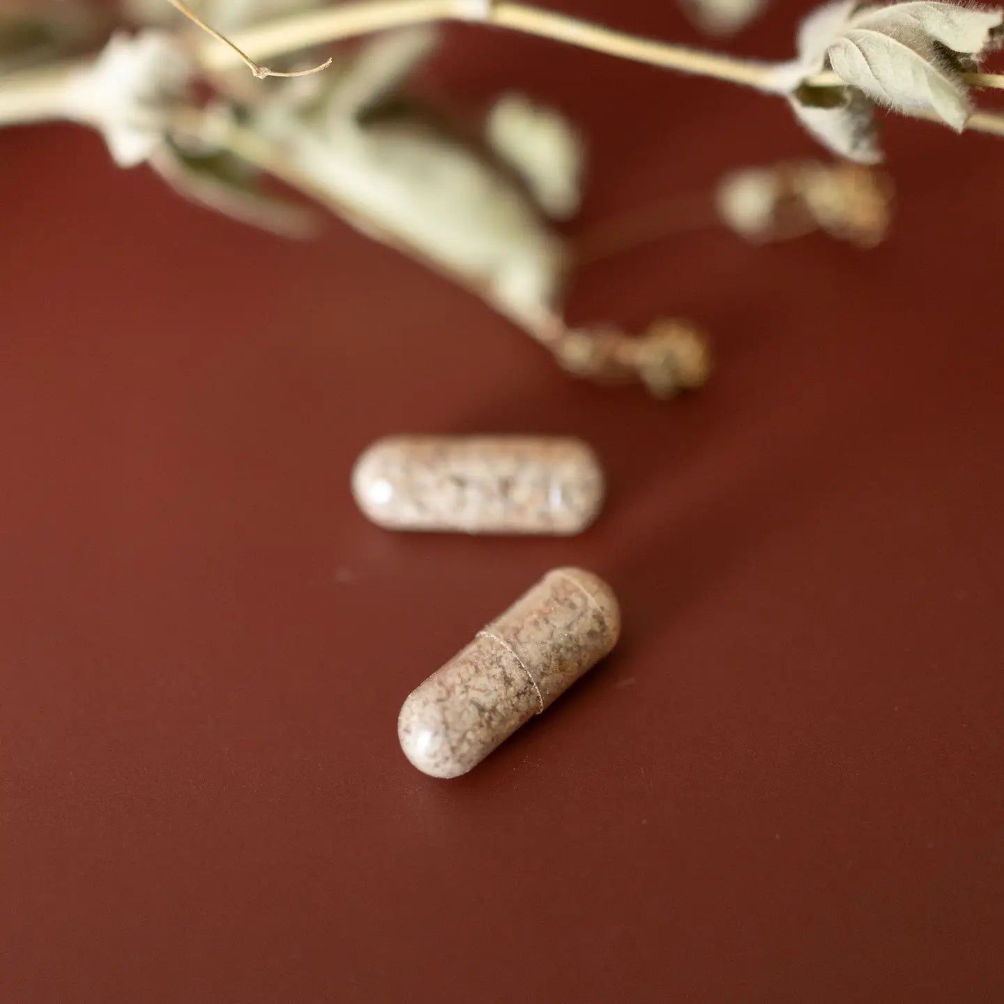 Milk Thistle Capsules