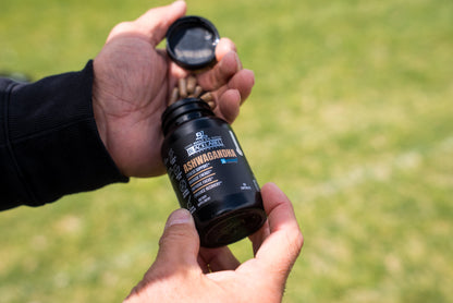 SENSORIL® ASHWAGANDHA
